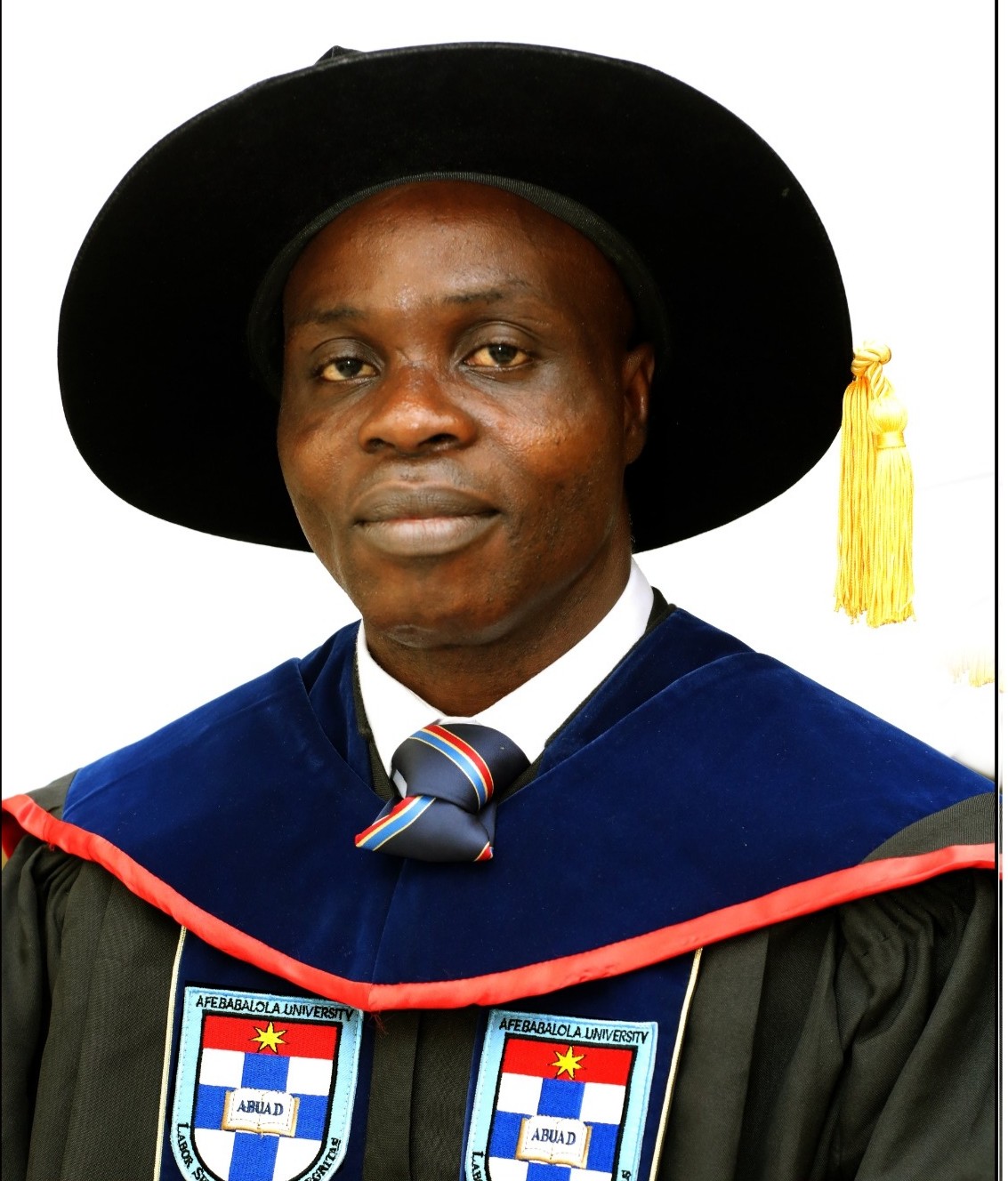 University Librarian